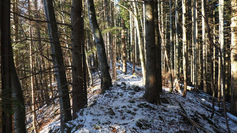 Pfad zum Hint. Signalkogel am Grat, rechts vom Zaun