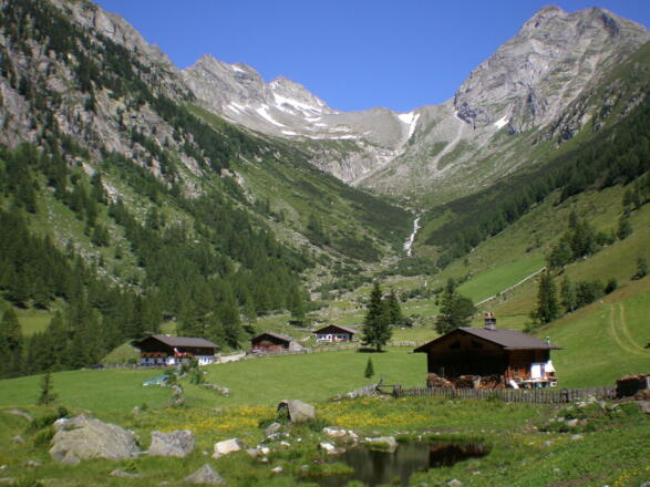 Wollbachalm im Wollbachtal