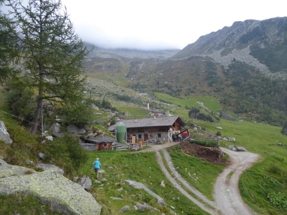 Blick auf die Hollenzalm