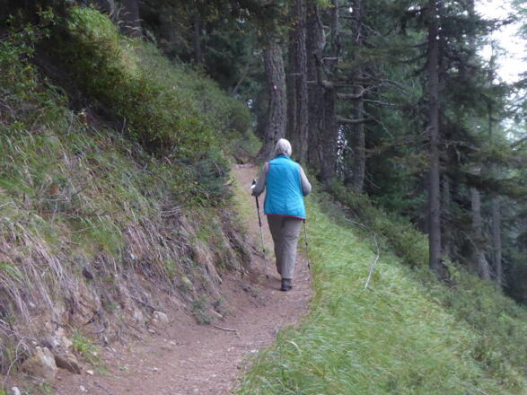 Schöner Waldweg zu den Hühnerspielhütten