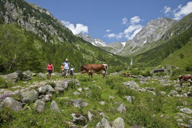 Wanderer im Wollbachtal