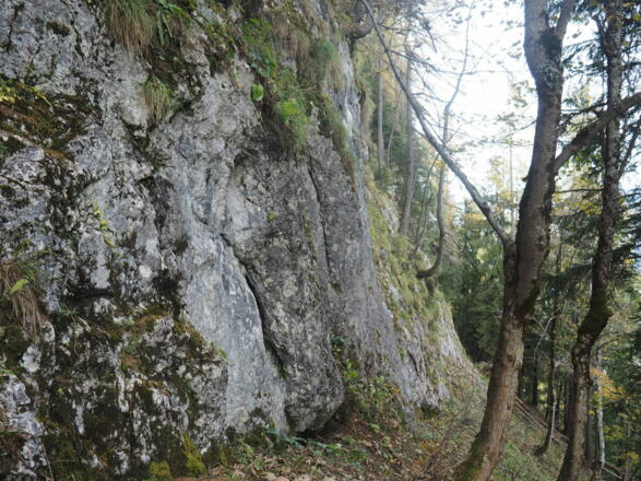Felsen 1065m am Jagasteig, links weiter