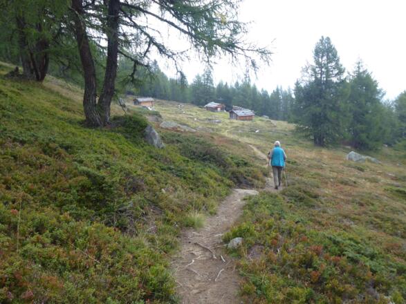 Lichtung mit den Hühnerspielhütten