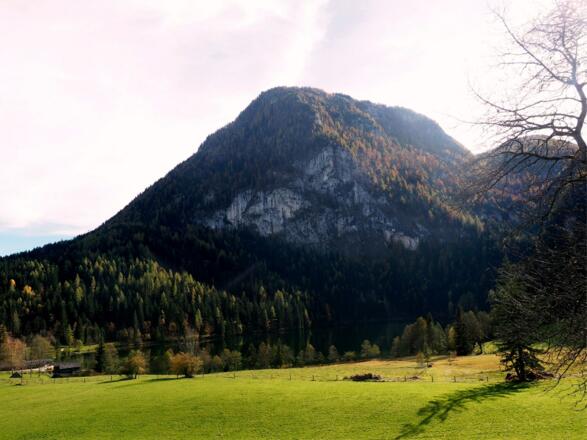 Seespitz 1557m, gesehen vom Präwaldabstieg ~840m