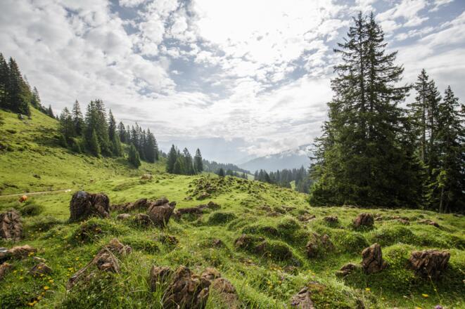 Wanderung Spielbergalmen