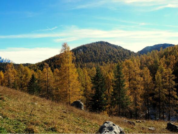 Halskogel 1690m, von Dümlerhütte gesehen