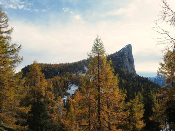 Stubwieswipfel beim Aufstieg zum Halssattel