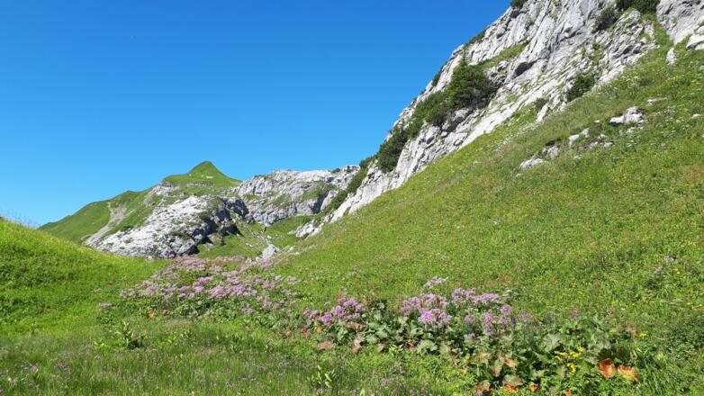 Abstieg zur Biberacherhütte