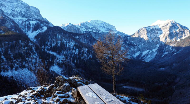 Vord. Signalkogel 906m mit Brunnkogel rechts
