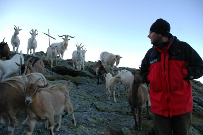 Weggefährten am Kreuzeck-Höhenweg
