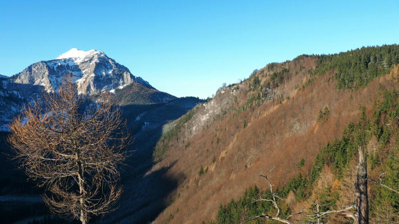 Blick zum Hint. Signalkogel rechts, 1014m