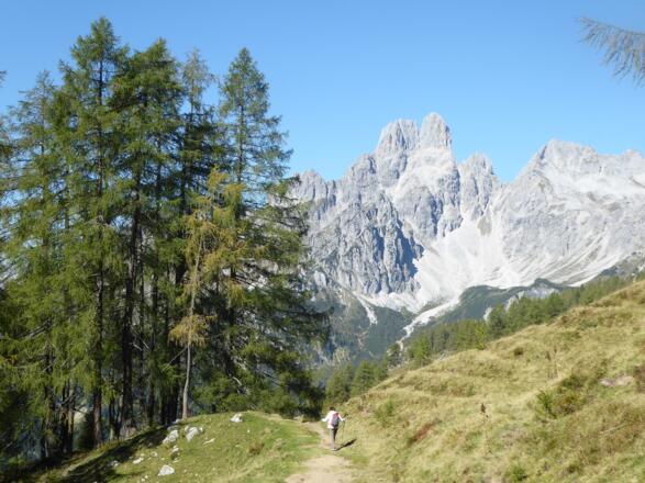 Bischofsmütze vom Sulzenhals