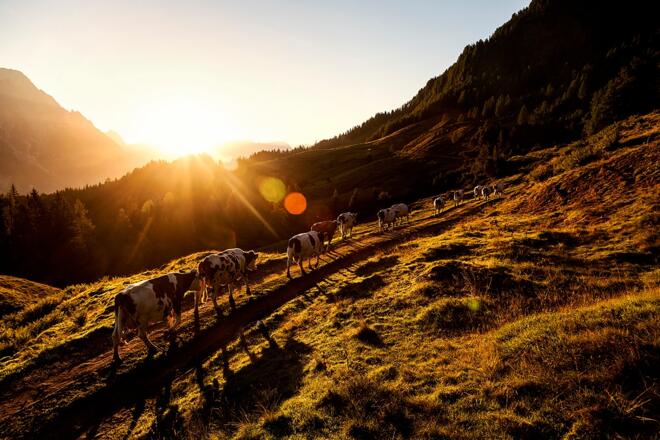 Weg zu den Grießner Almen