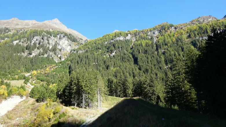 Der tiefe Graben des Alpbachs - über den rechts anschließenden Wald führt der Steig steil zur Luibislam.