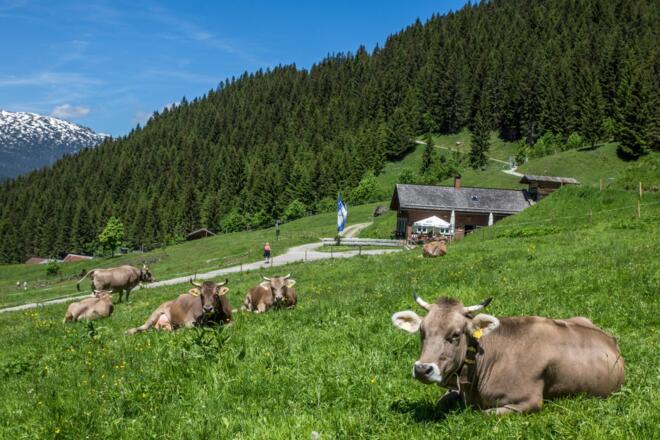 Blick auf Obere Wiesalpe