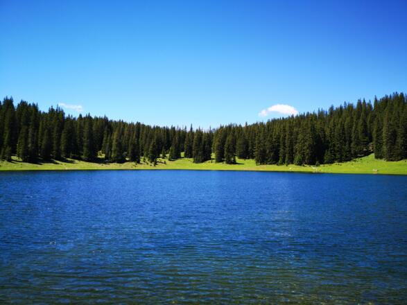 Der Igelssee ist besonders bei hohem Wasserstand im Frühsommer eine Pracht.