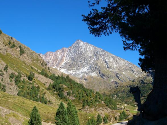Schrankogel im Blick
