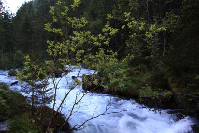 Bach am Weg zum Schödersee