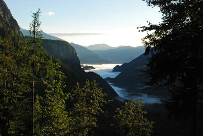 Morgennebel im Stodertal