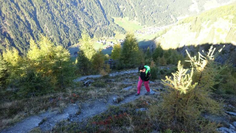 Der Wald wird lichter, bald ist das freie Gelände erreicht.