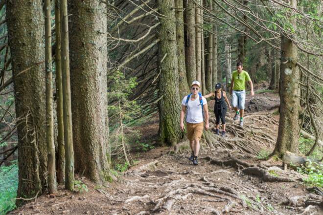 Abstieg zur Briedleralpe