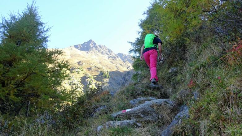 Durch die Ausrichtung nach Westen bietet dieses Steilstück auch an heißen Sommertagen Schatten und Kühle (sofern man rechtzeitig aufbricht).