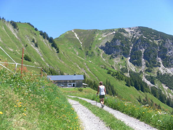 Bärenalpe unter Hochlicht/Blasenka