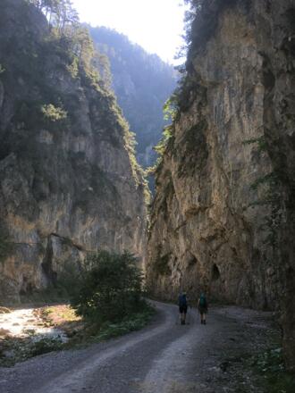 Durch den Stoißengraben