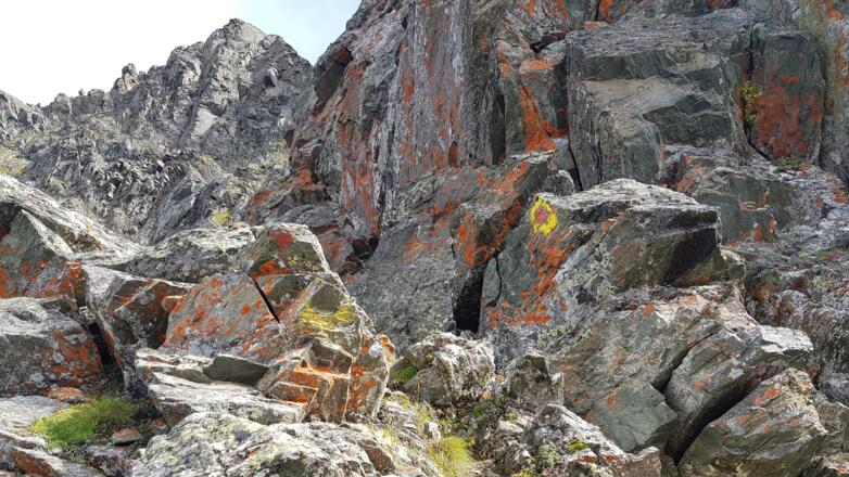 Markierungen erleichtern die Orientierung