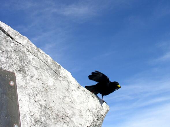 Passt der Aufwind oder nicht?