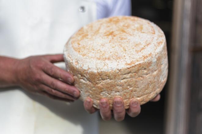 &quot;Sura Kees&quot;