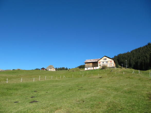 Bauernhöfe auf Uga. Hier ist die für die Vorarlberger Walser typische Streusiedlung noch gut erkennbar.