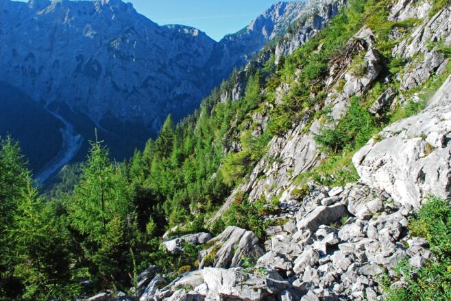 Blick aus der unteren Nickeralm zum Salzsteigjoch