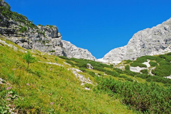 Sanfte Bergwiesen am Eingang zum oberen Finsterriegelkar