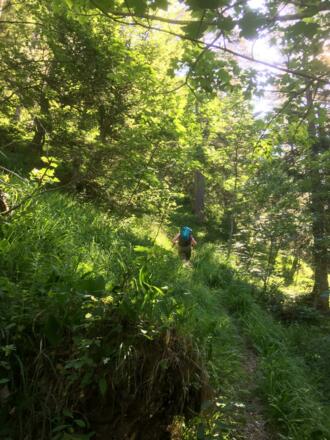 Aufstieg durch steile Wiesenhänge