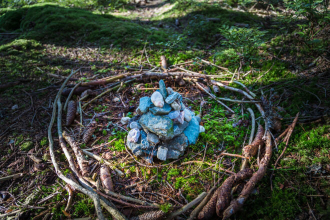 Reinigungsplatz im Hachauer Wald (Kraftplatz 16)