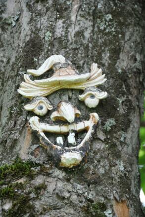 Herzige, liebliche Wesen begrüßen uns an Bäumen.