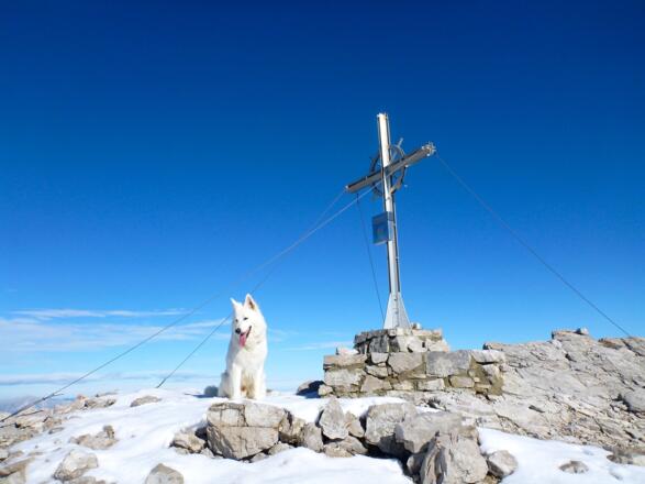 Am Gipfel der hinteren Bachofenspitze