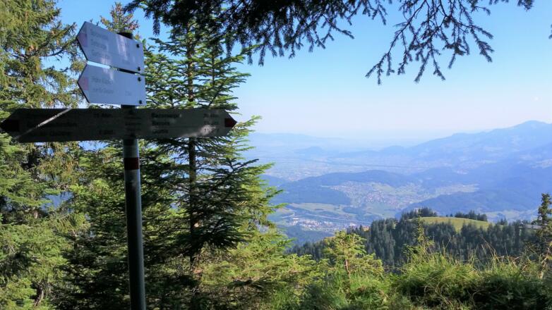 Ww Hinteres Gätterle, 1590 m, Beginn des alpinen Steigs.