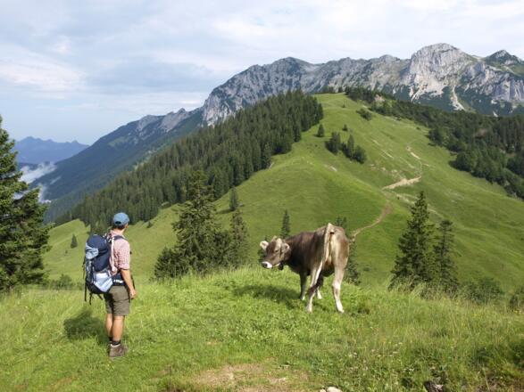 Höhenweg zum Walchsee