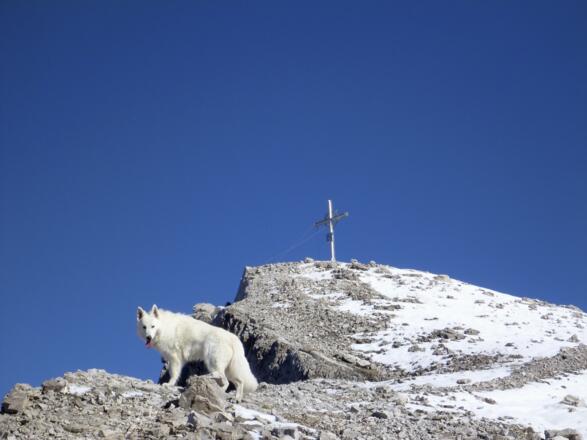 die letzten Meter auf dem Rücken zum Gipfel der hinteren Bachofenspitze