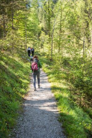 Wanderweg Lofer