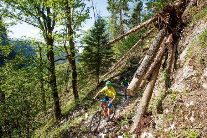 Steyrtal  Breitenau Reitern  Bodinggraben  Steyrsteg  Jagahäusl   ET 1