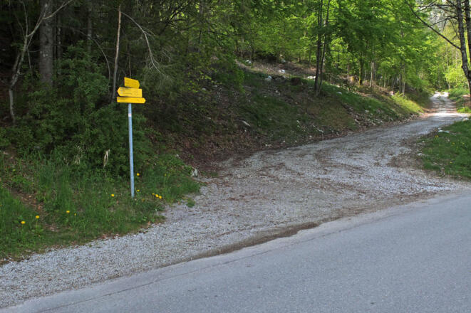Hier sieht man den Forstweg mit dem Wegweiser.