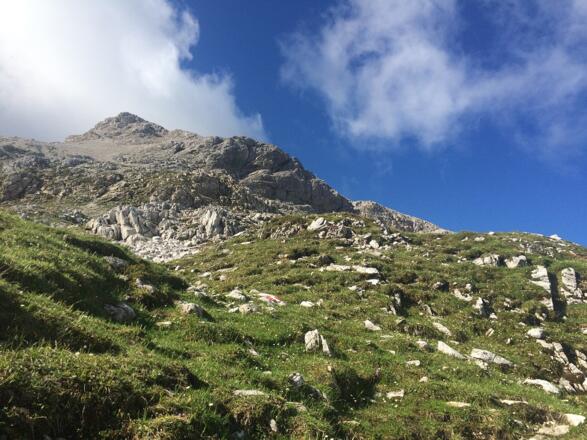 Am Weg zum Großen Pleißlingkeil
