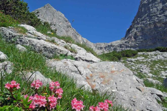 Blick ins nördliche Wassertal