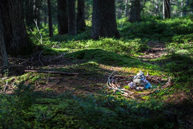 Reinigungsplatz im Hachauer Wald (Kraftplatz 16)