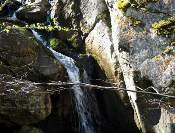 Schlucht unf Bründl im Dorngraben um 700m