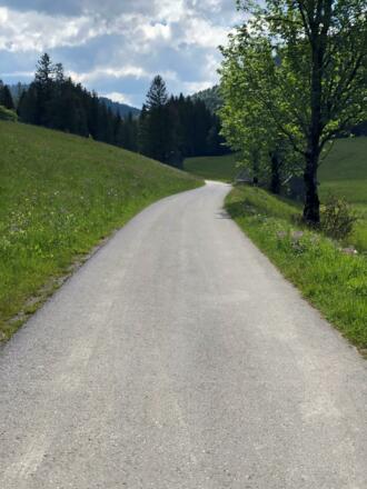 Weg vom Parkplatz Richtung Seewaldsee 