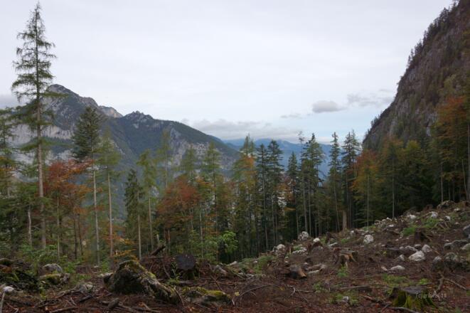 Am Wechsel (höchster Punkt)